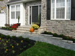 Landscaped Yard