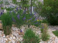 Sleepy Hollow Landscaping Image